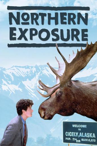 Doctor en Alaska poster