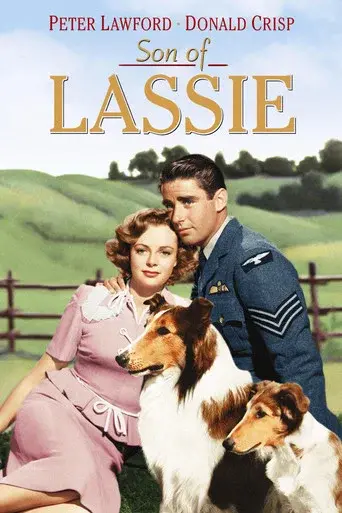 El cachorro de Lassie - Poster