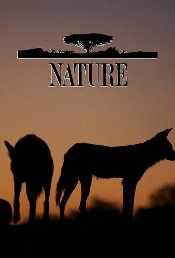 Nature - Poster