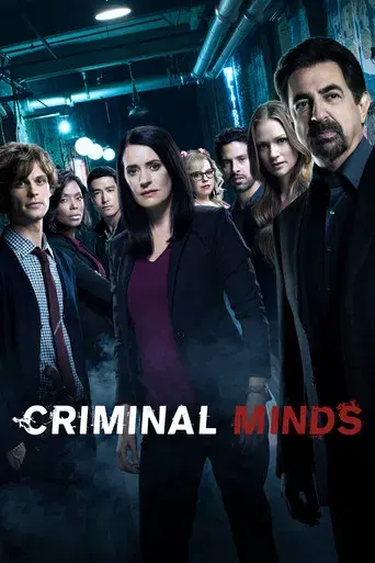 Mentes criminales - Poster
