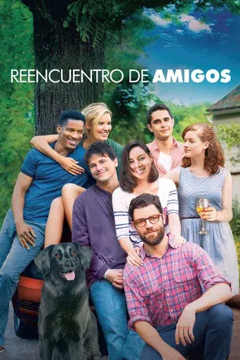 Reencuentro de amigos - Poster
