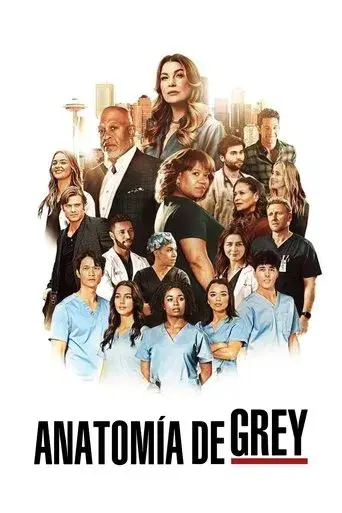 Anatomía de Grey - Poster