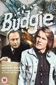 Budgie - Poster