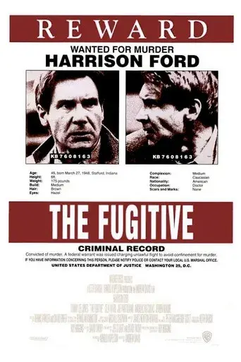El fugitivo - Poster