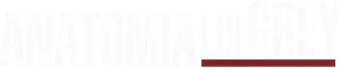 Anatomía de Grey - Logo