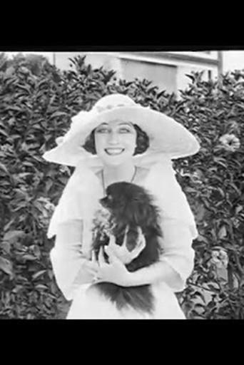 Onze Filmsterren poster