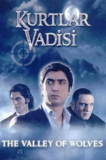 Kurtlar Vadisi - Poster