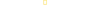 Los secretos de los pingüinos - Logo