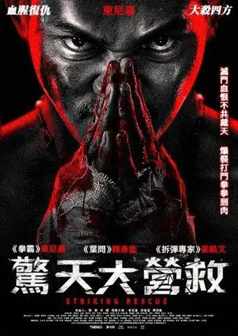 Venganza implacable - Poster