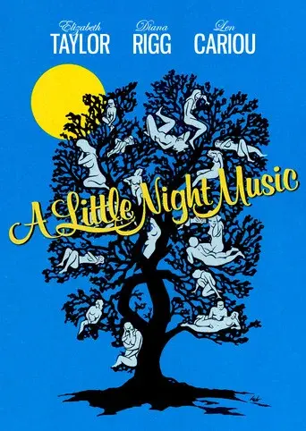 Pequeña música nocturna - Poster