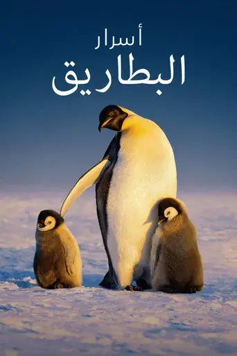 Los secretos de los pingüinos - Poster