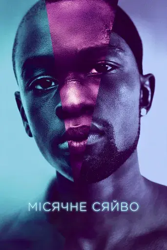 Moonlight - Poster