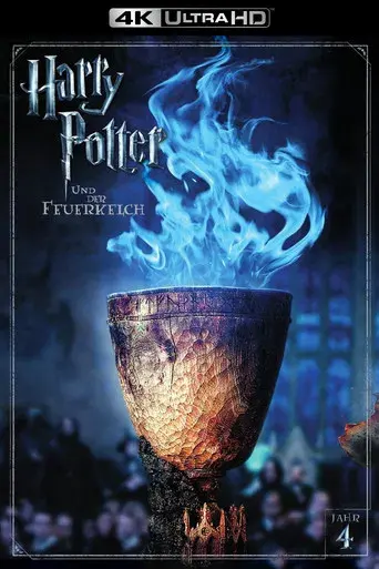 Harry Potter y el cáliz de fuego - Poster