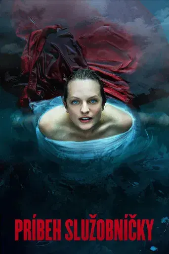 El cuento de la criada - Poster
