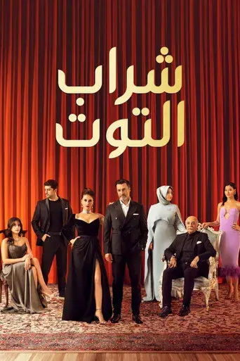 Mundos opuestos - Poster