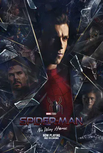 Spider-Man: No Way Home - Poster