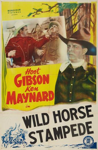 Wild Horse Stampede - Poster