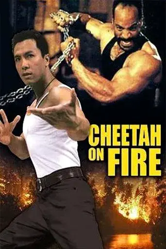 獵豹行動 poster