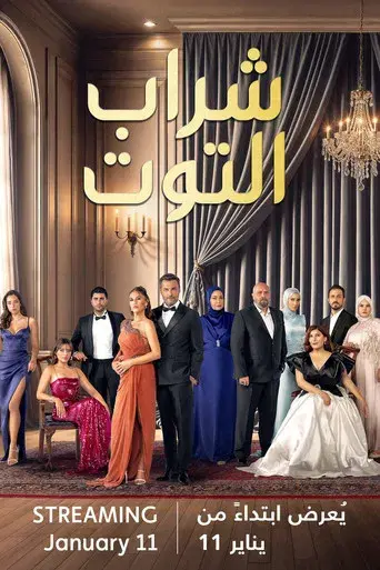 Mundos opuestos - Poster