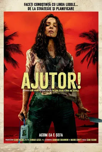 SEND HELP (Enviad ayuda) - Poster