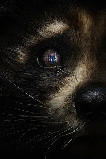 Guardianes de la Galaxia: Volumen 3 - Poster