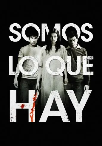 Somos lo que hay - Poster