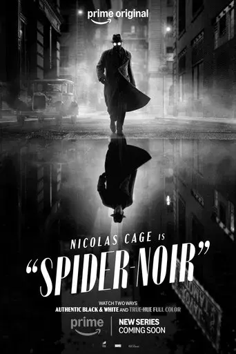 Spider-Noir - Poster