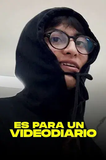 Es Para Un Videodiario - Poster