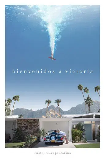 No te preocupes querida - Poster