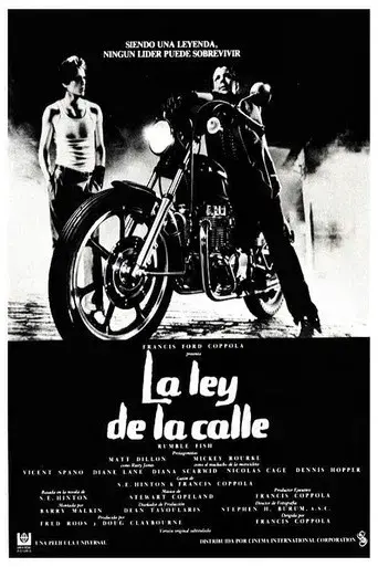 La ley de la calle - Poster