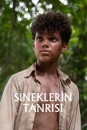 El señor de las moscas - Poster