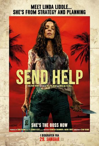 SEND HELP (Enviad ayuda) - Poster
