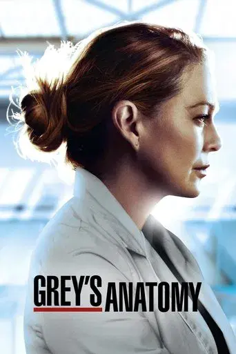 Anatomía de Grey - Poster