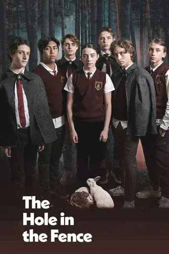 El hoyo en la cerca poster
