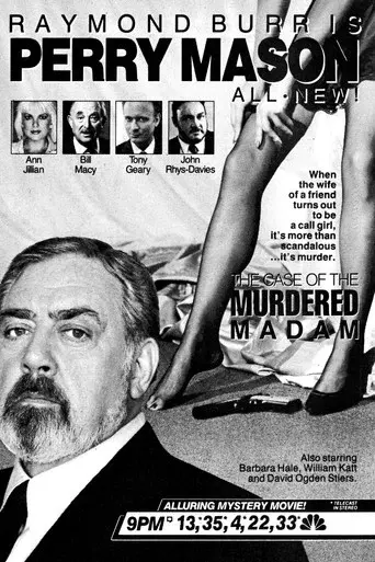 Perry Mason: El caso de la dama asesinada - Poster