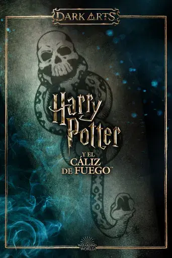 Harry Potter y el cáliz de fuego - Poster