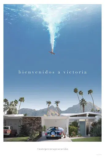 No te preocupes querida - Poster