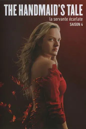 El cuento de la criada - Poster