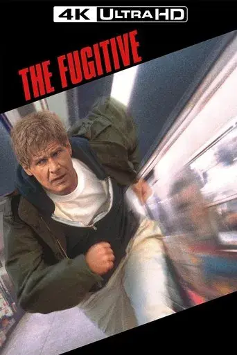 El fugitivo - Poster