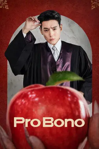 Abogado de oficio poster