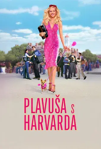 Una rubia muy legal - Poster