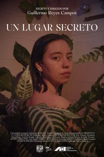 Un lugar secreto - Poster