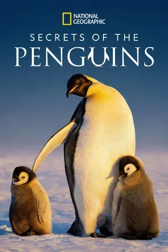 Los secretos de los pingüinos - Poster
