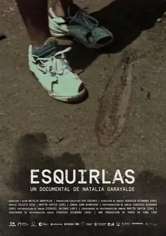 Esquirlas - Poster