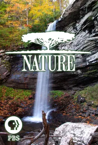 Nature - Poster
