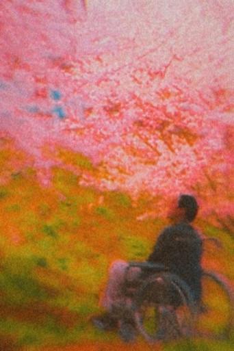 Hana-Bi: Flores de fuego - Poster