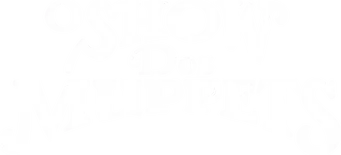 El show de los Muppets - Logo