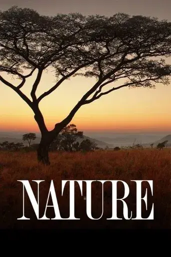 Nature - Poster
