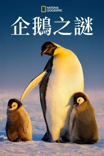 Los secretos de los pingüinos - Poster