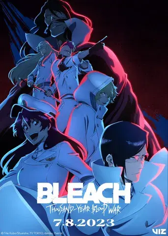 Bleach - Poster